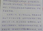 小学生作文告白李易峰，老师评语亮了